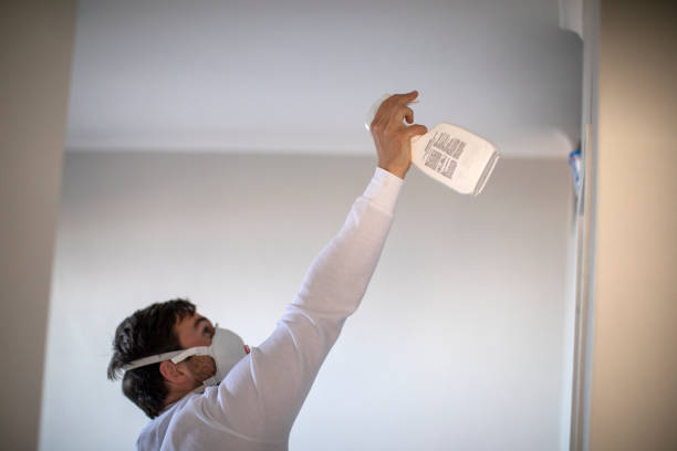 Best Black Mold Removal  in Phoenix, OR
